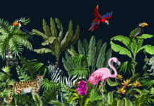 Le papier-peint thème animalier - tapisserie animaux