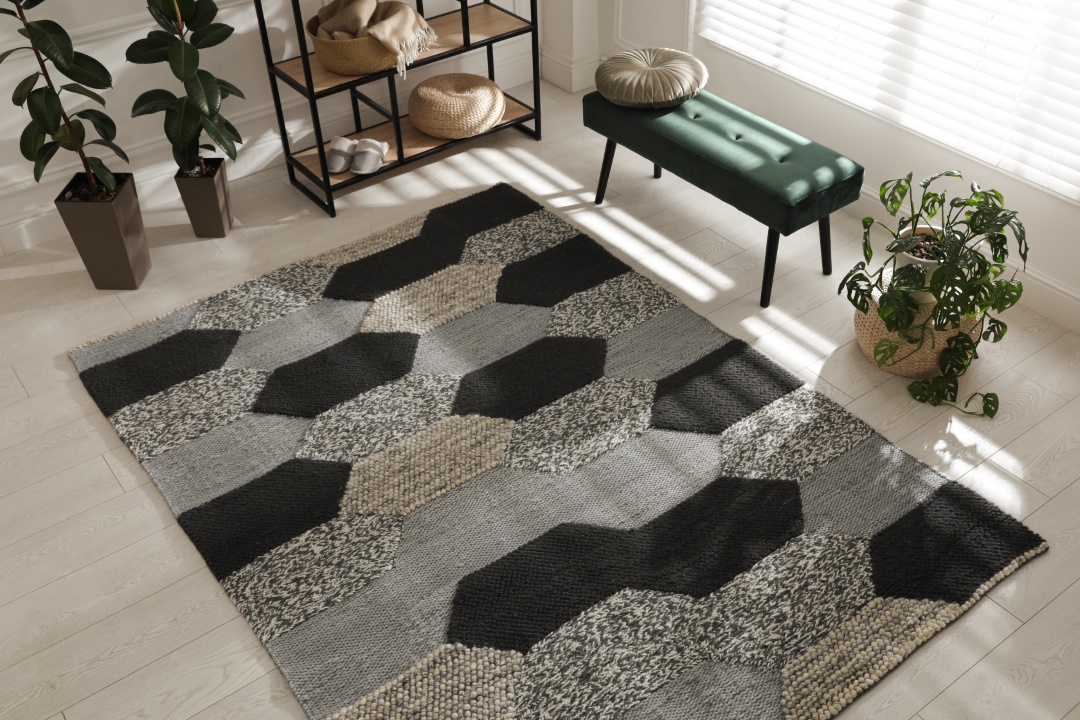 tapis haut-de-gamme, pour un intérieur chic et minimaliste