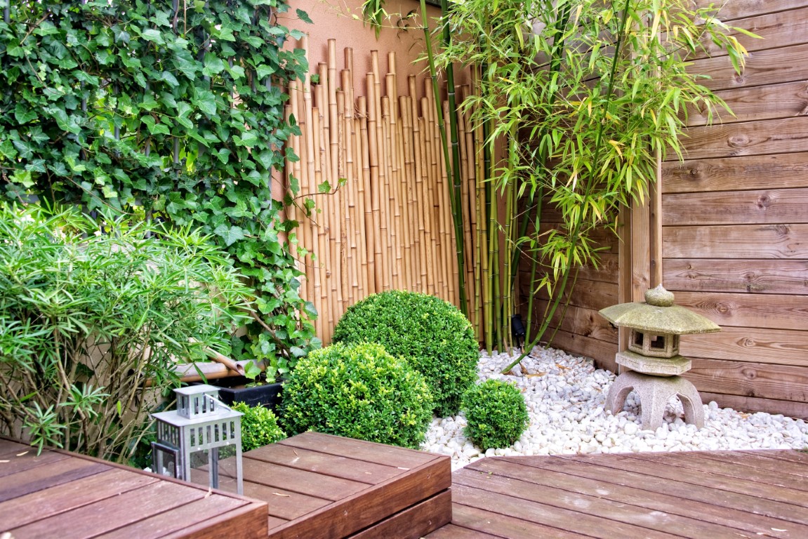 bambou dans un jardin zen