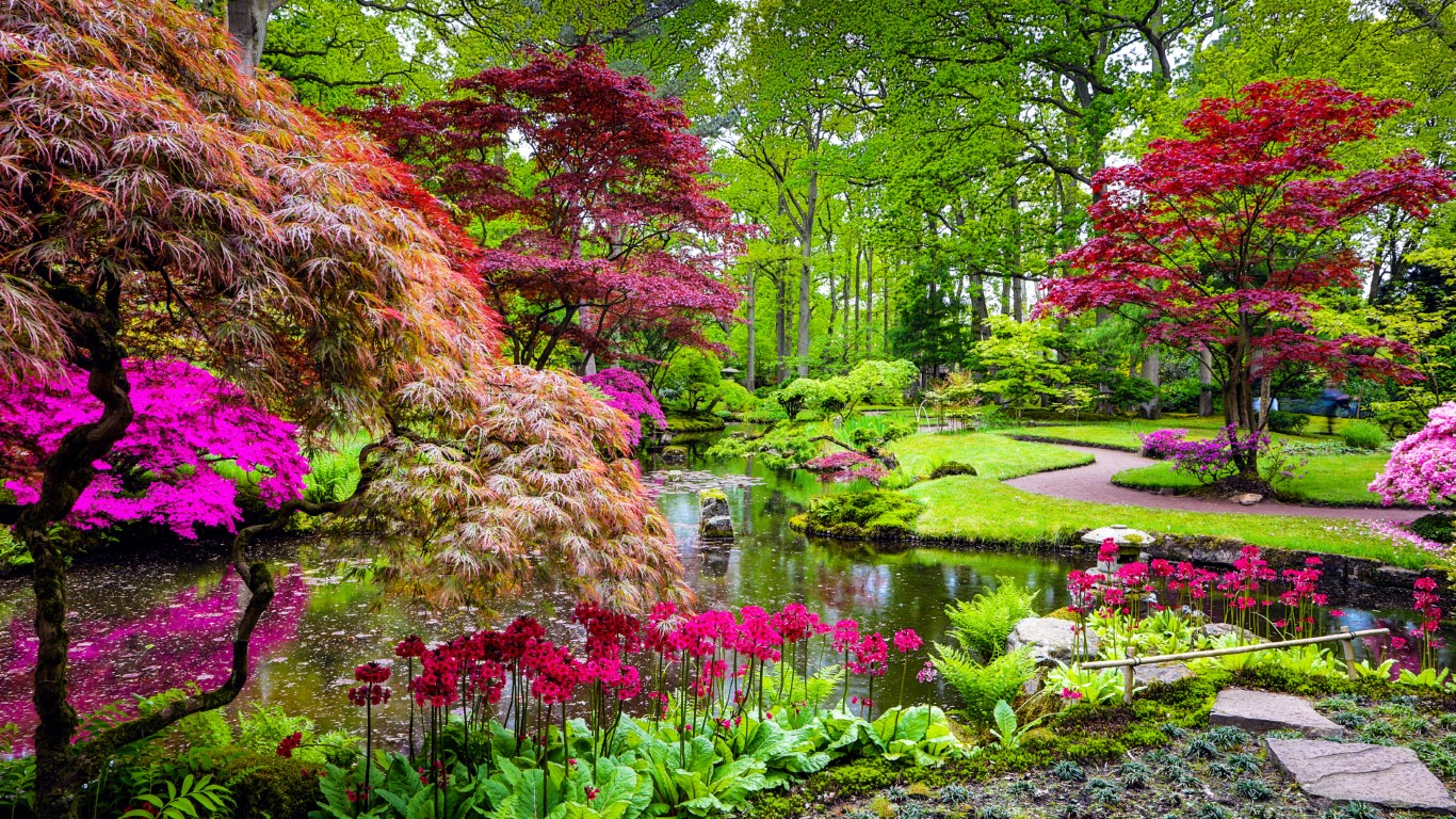 Jardin japonais et jardin zen